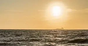 Laridae Prints: Sunset over the sea off ??Sylt, Schleswig-Holstein, Germany