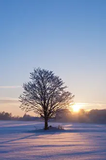 Sunsets Prints: Sunset on a snowy winter landscape, Lower Saxony, Germany, Europe