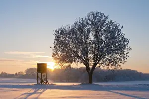 Idyll Prints: Sunset on a snowy winter landscape, Lower Saxony, Germany, Europe