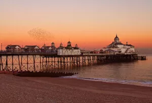 Eastbourne Gallery: Sunset & starlings