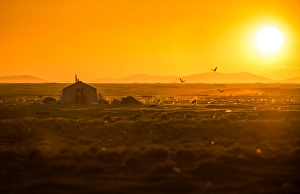 Images Dated 29th June 2012: Sunset at Tibetan countryside