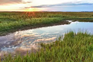 Lens Flare Prints: Sunset over tidal marsh at Massachusetts Audubons Wellfleet Bay Wildlife Sanctuary