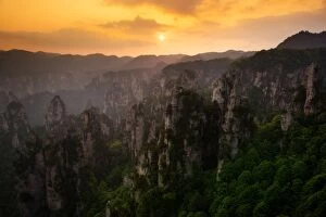 Tropical Tree Gallery: The sunset view of Zhangjiajie National Forest Park, Hunan, China