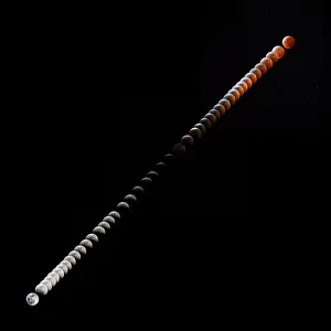 Spectacular Blood Moon Art Gallery: Super Blood Wolf Moon Composite 2019