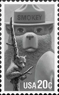 Superimposed Bear Images Advertising Forest Fires