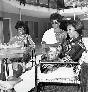 The Supremes
