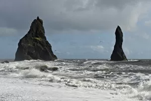 Images Dated 10th September 2014: Surf and seagulls, lava beach of Reynisfjara, Reynisdrangar Pinnacles, near Vik i Myrdal