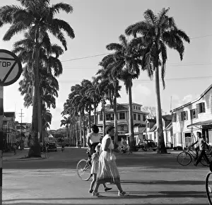 Suriname Diversity