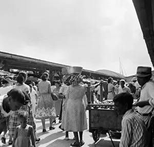 Lac0127 Prints: Suriname Diversity