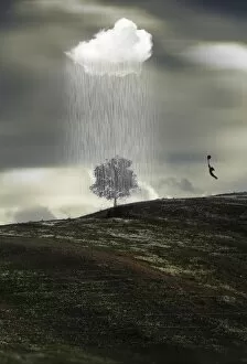 Rain Gallery: Surreal rain