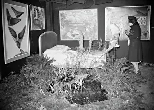Museum Prints: Surrealist Exhibition
