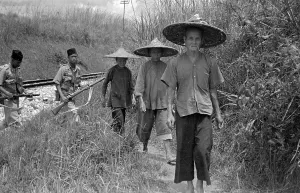 Malaya Prints: Suspected Terrorists