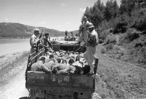 Lorry Prints: Suspected Traitors