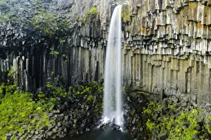 Svartifoss waterfall, basalt columns, Skaftafell National Park, Austurland or East Iceland, Iceland, Europe