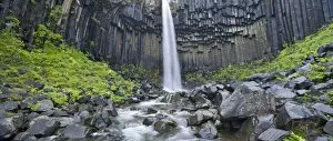 Images Dated 5th September 2011: Svartifoss waterfall, Skaftafell National Park, Southern Region, Iceland