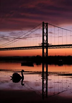 Swan and Forth Road Suspension Bridge at sunset