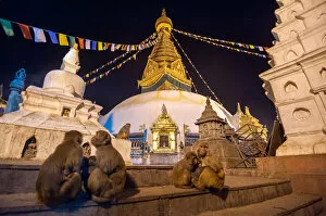 Images Dated 2nd January 2014: Swayambhunath and monkey