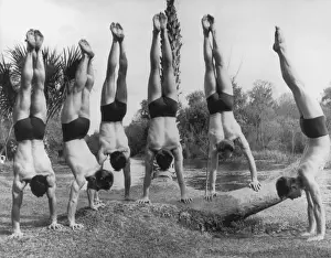 Swedish Gymnasts