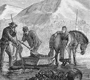 Swedish Peasants Mining