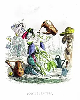 Grandville Prints: Sweet pea plant - Hand colored plate from 'Les Fleurs Animees by J.J.Grandville 1867