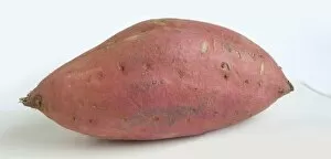 Images Dated 5th January 2013: Sweet potato