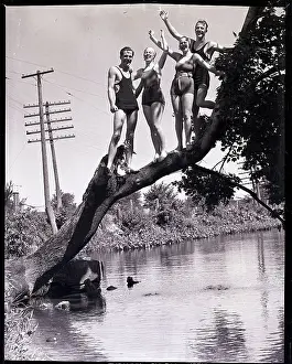 Swimmers Standing on Tree Branch