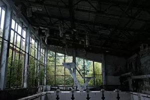 Eerie, Haunting, Abandon, Chernobyl Collection: swimming pool