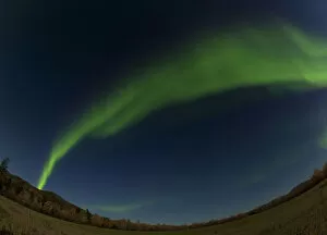 Images Dated 11th September 2011: Swirling Northern lights, Polar Aurorae, Aurora Borealis, green, near Whitehorse, Yukon Territory