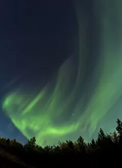 Northern Lights Collection: Swirling Northern lights, Polar Aurorae, Aurora Borealis, green, near Whitehorse, Yukon Territory