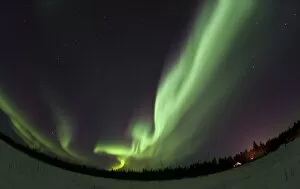 Images Dated 15th February 2012: Swirling northern polar lights, Aurora Borealis, green, near Whitehorse, Yukon Territory, Canada