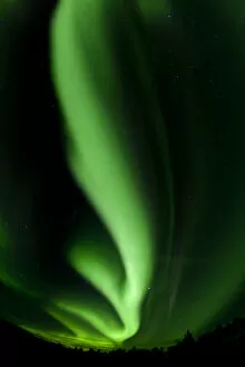 Images Dated 26th September 2011: Swirling northern polar lights, Aurora Borealis, green, near Whitehorse, Yukon Territory, Canada