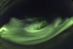 Northern Lights Collection: Swirling northern polar lights, rare overhead display, Aurora Borealis, green, near Whitehorse