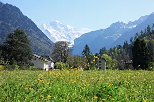 Switzerland, Interlaken
