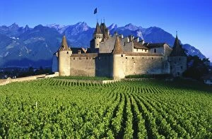 Images Dated 27th May 2007: Switzerland, vineyard & Chateau d Aigle