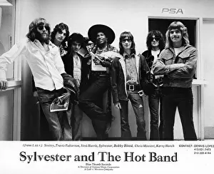 Sylvester And The Hot Band Portrait