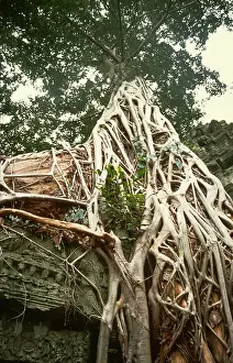 Ta Prohm