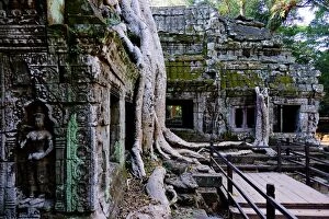 Images Dated 12th December 2015: Ta Prohm, Angkor, Siem Reap, Cambodia