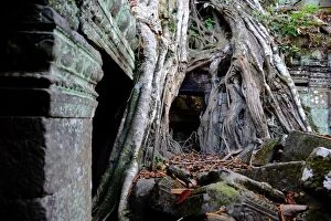 Images Dated 10th December 2015: Ta Prohm, Angkor, Siem Reap, Cambodia