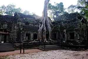 Images Dated 12th December 2015: Ta Prohm, Angkor, Siem Reap, Cambodia