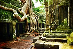 Images Dated 28th April 2016: Ta Prohm Angkor Wat Cambodia