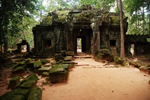 Images Dated 12th November 2014: Ta Prohm Angkor Wat Cambodia