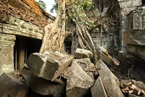 Tomb Raider Prints: Ta Prohm jungle temple, Siem Reap, Cambodia