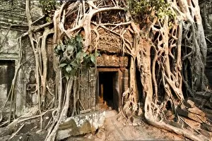 Images Dated 4th April 2015: Ta Prohm jungle temple, Siem Reap, Cambodia