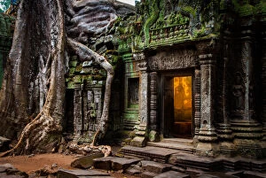 Images Dated 22nd February 2011: Ta Prohm Temple