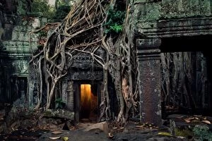 Images Dated 22nd February 2011: Ta Prohm Temple