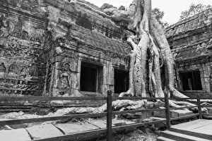 Images Dated 25th February 2016: Ta Prohm Temple, Angkor, Cambodia