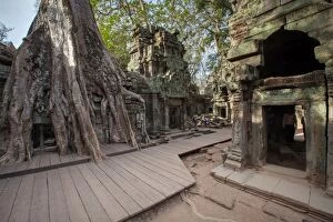 Images Dated 25th February 2016: Ta Prohm Temple, Angkor, Cambodia