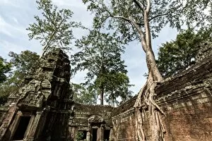 Images Dated 4th November 2016: Ta Prohm Temple in Angkor, Cambodia