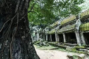 Images Dated 4th November 2016: Ta Prohm Temple in Angkor, Cambodia
