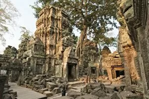 Images Dated 4th April 2015: Ta Prohm temple, Angkor Wat, Siem Reap